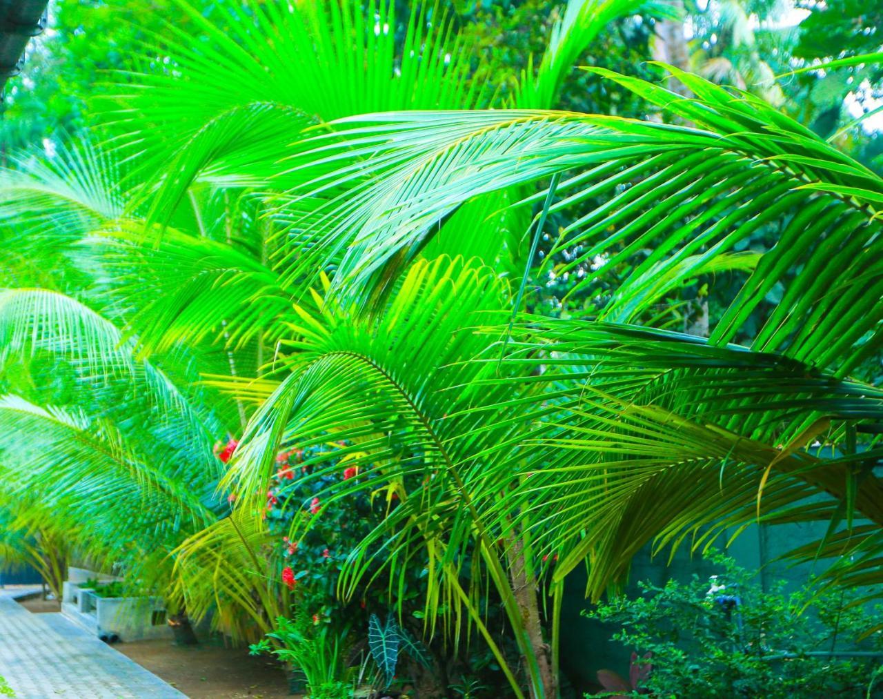 Sri Lankan Villa Elagawagoda Εξωτερικό φωτογραφία